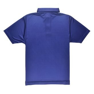 Triumph Tennis Polo Tshirt For Men